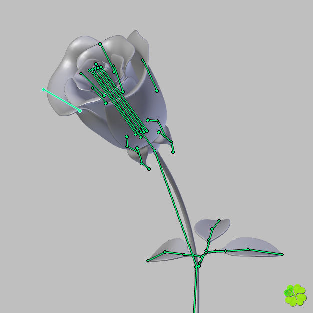 Rose multicolor rigged low poly Low-poly 3D model_63