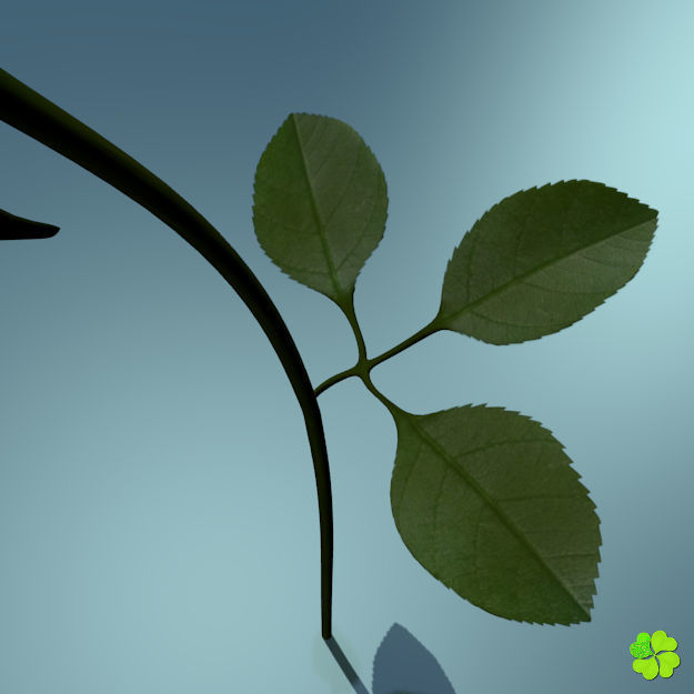 Rose multicolor rigged low poly Low-poly 3D model_41