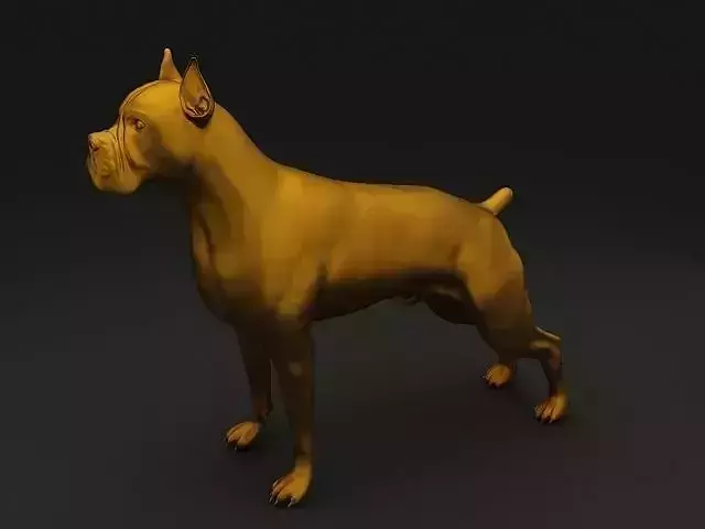 Boxer High Detailed 3D Model 3D print model