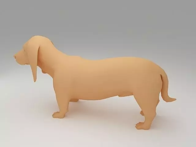 Basset Hound 3D Model 3D print model_0