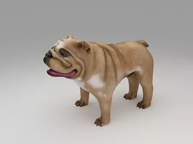 English Bulldog 3D Print Model 3D print model_0