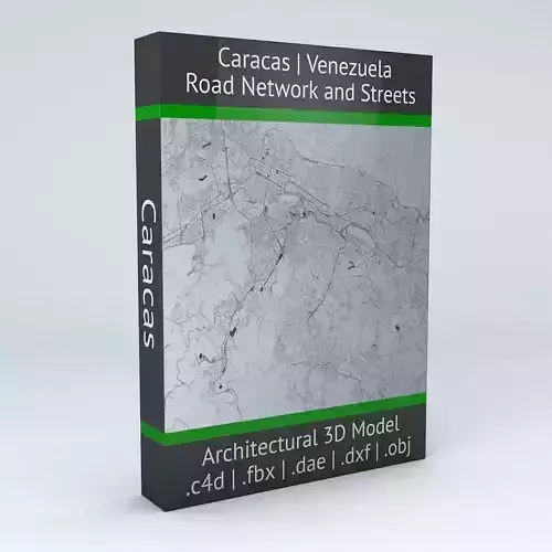 Caracas Road Network and Streets 3D model