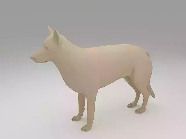 Malinois 3D Model german shepherd