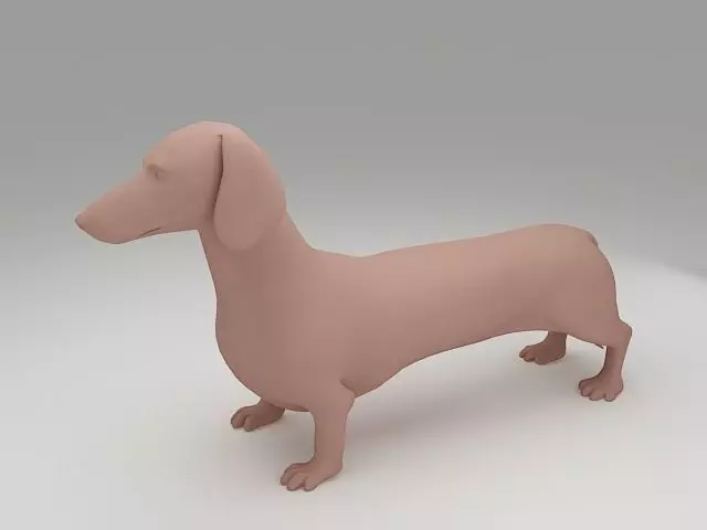 Dachshund 3D Model 3D print model_0