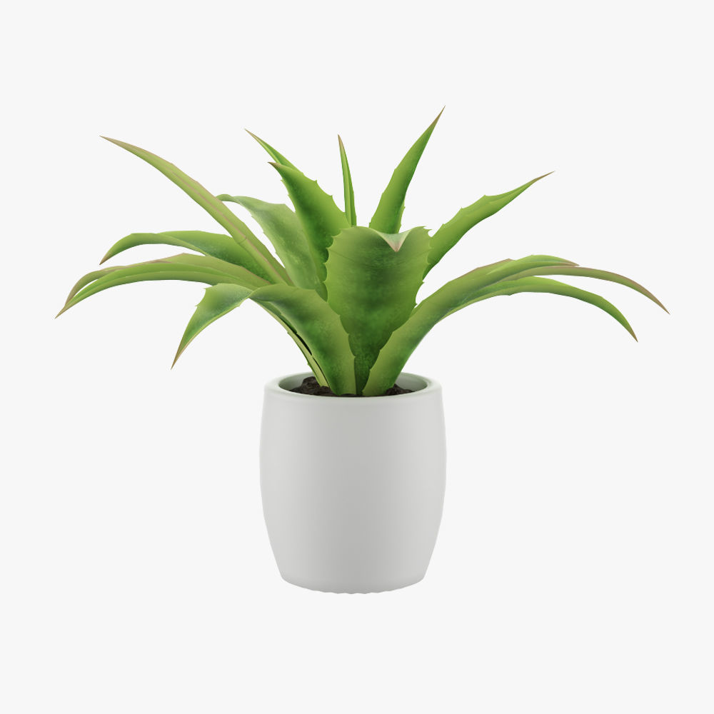 Flower in pot 3D model_1