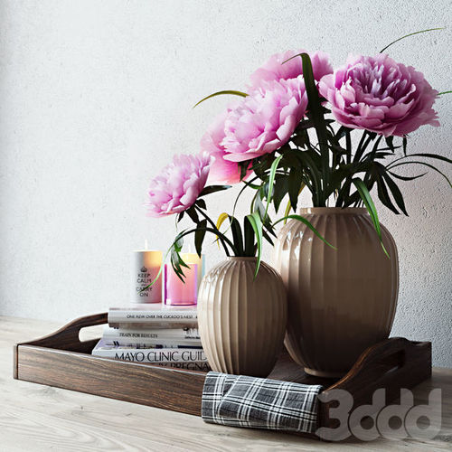 Decor Set 3D model peonies in vases on tray