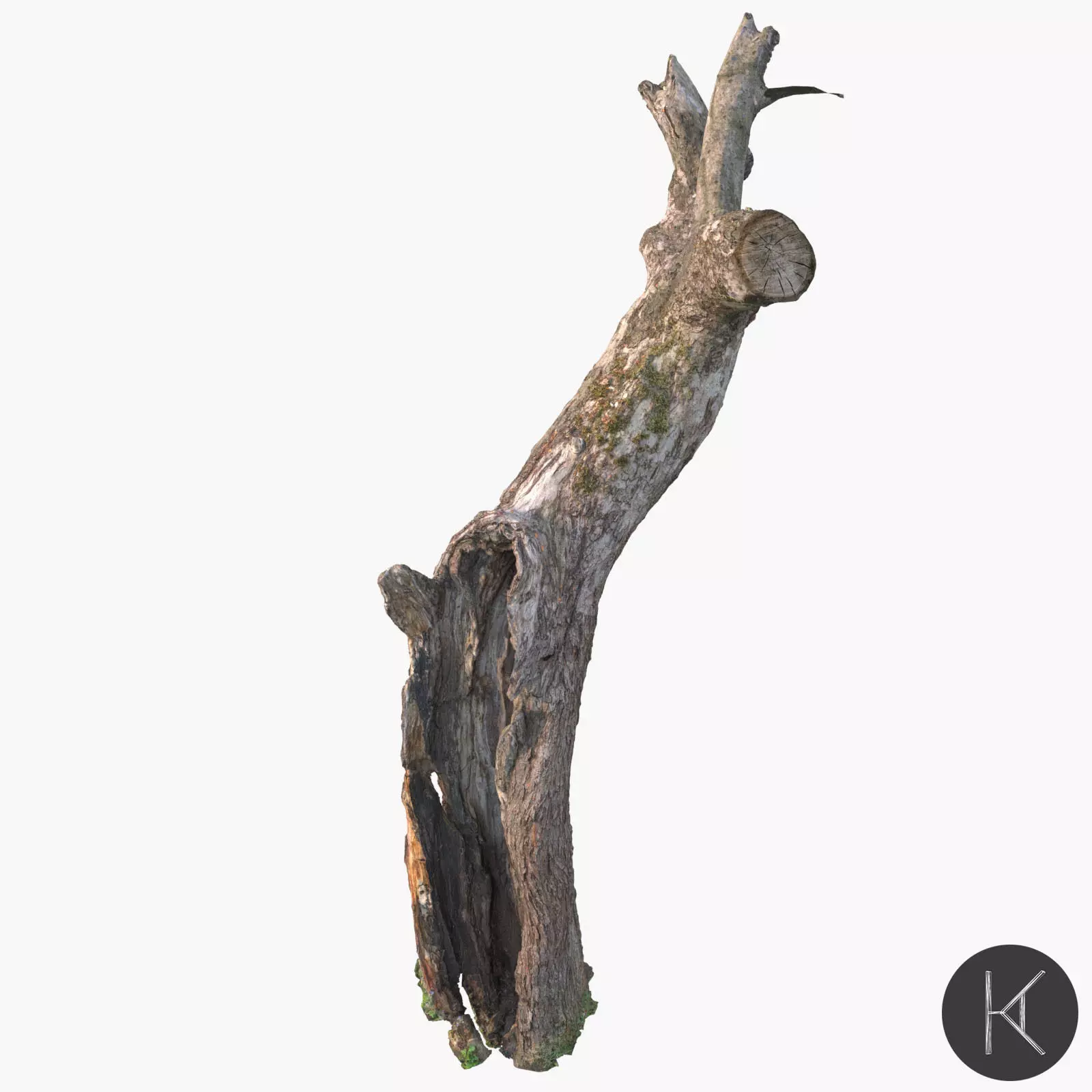 Dead Tree Low-poly 3D model