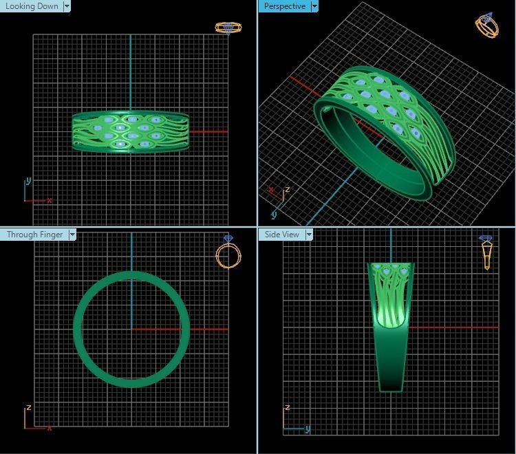 Ring R0624 3D print model_2