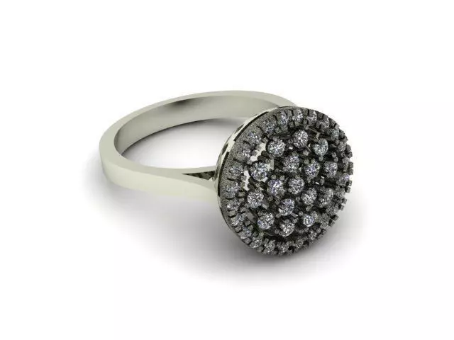 Ring R0630  3D print model_0