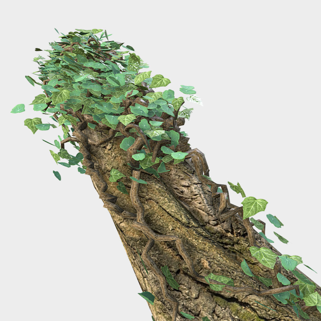 Fallen Log Low-poly 3D model_2