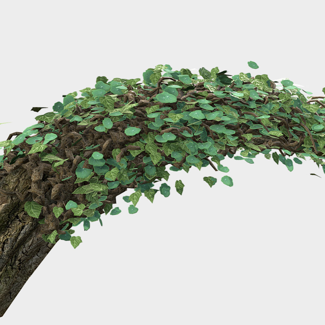 Fallen Log Low-poly 3D model_3