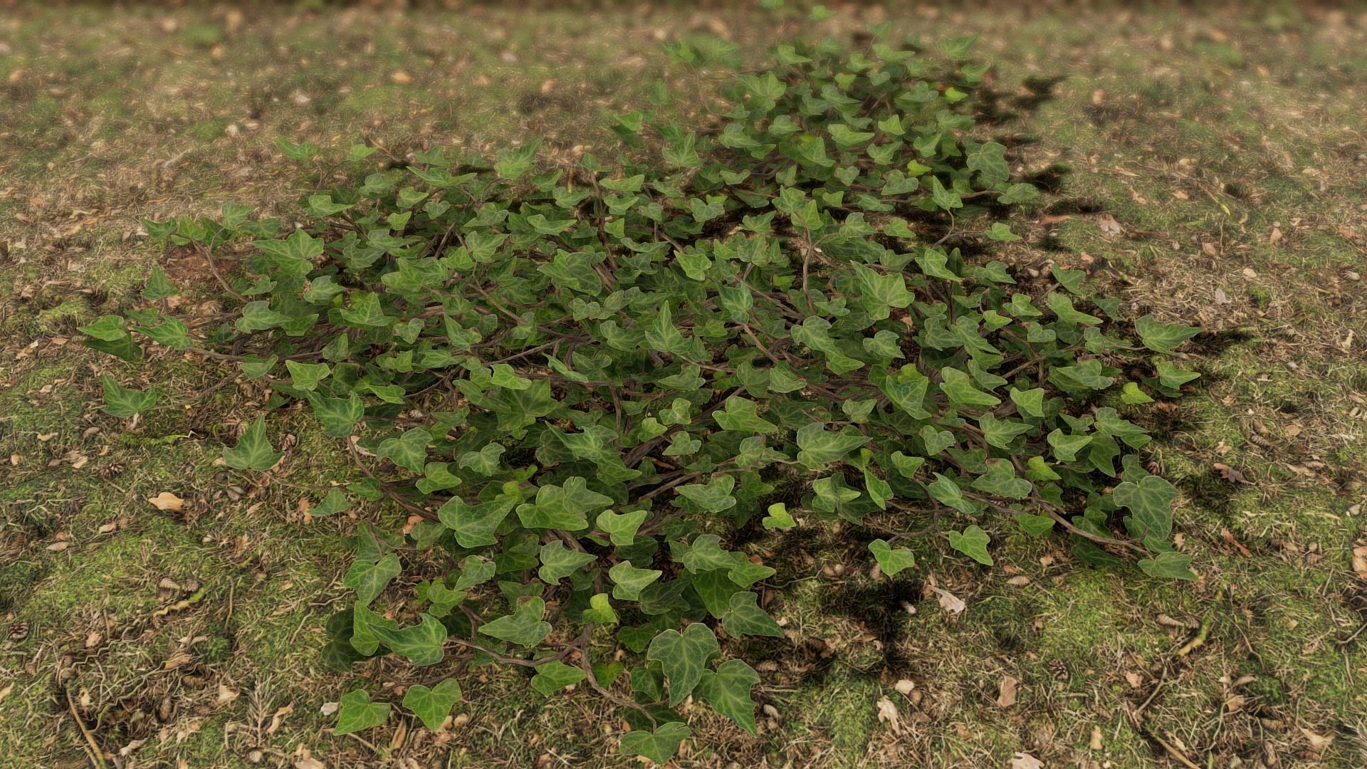 Low Poly Game Ready IVY Low-poly 3D model_6
