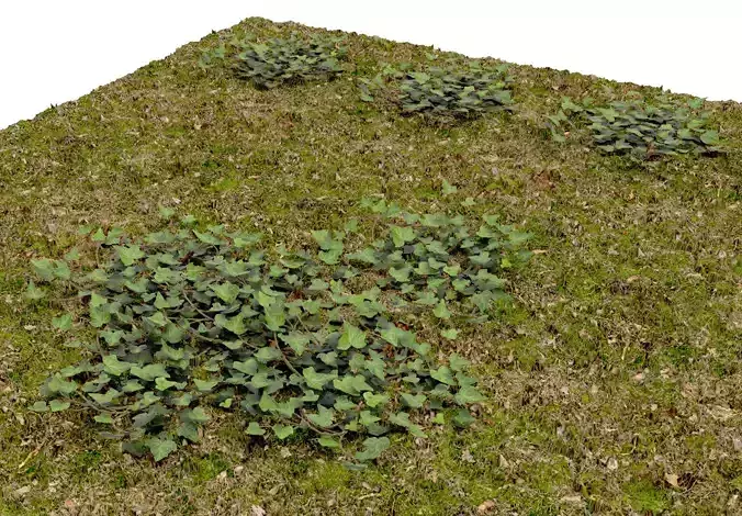 Low Poly Game Ready IVY Low-poly 3D model