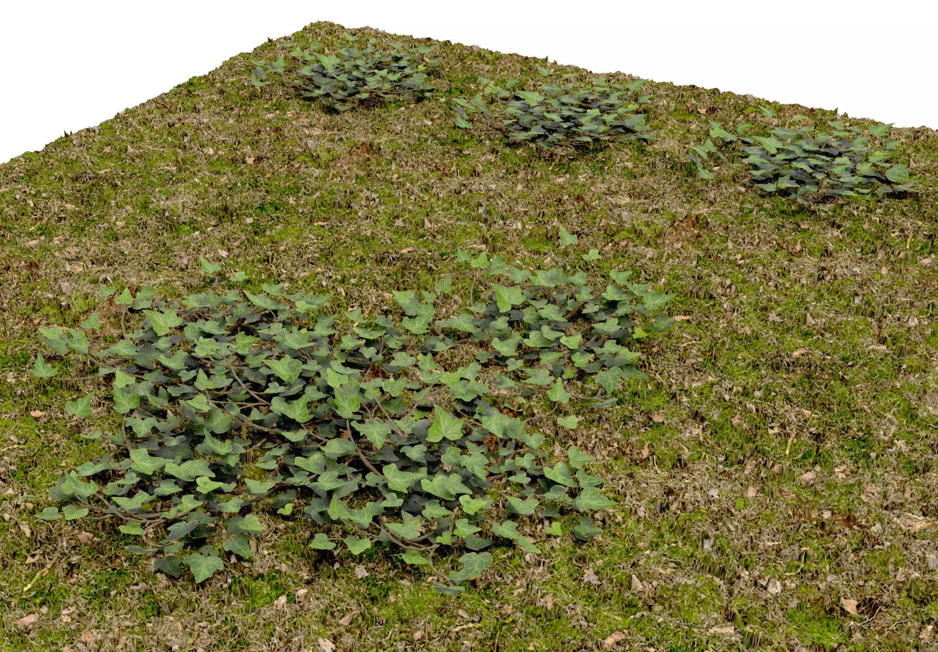 Low Poly Game Ready IVY Low-poly 3D model_0