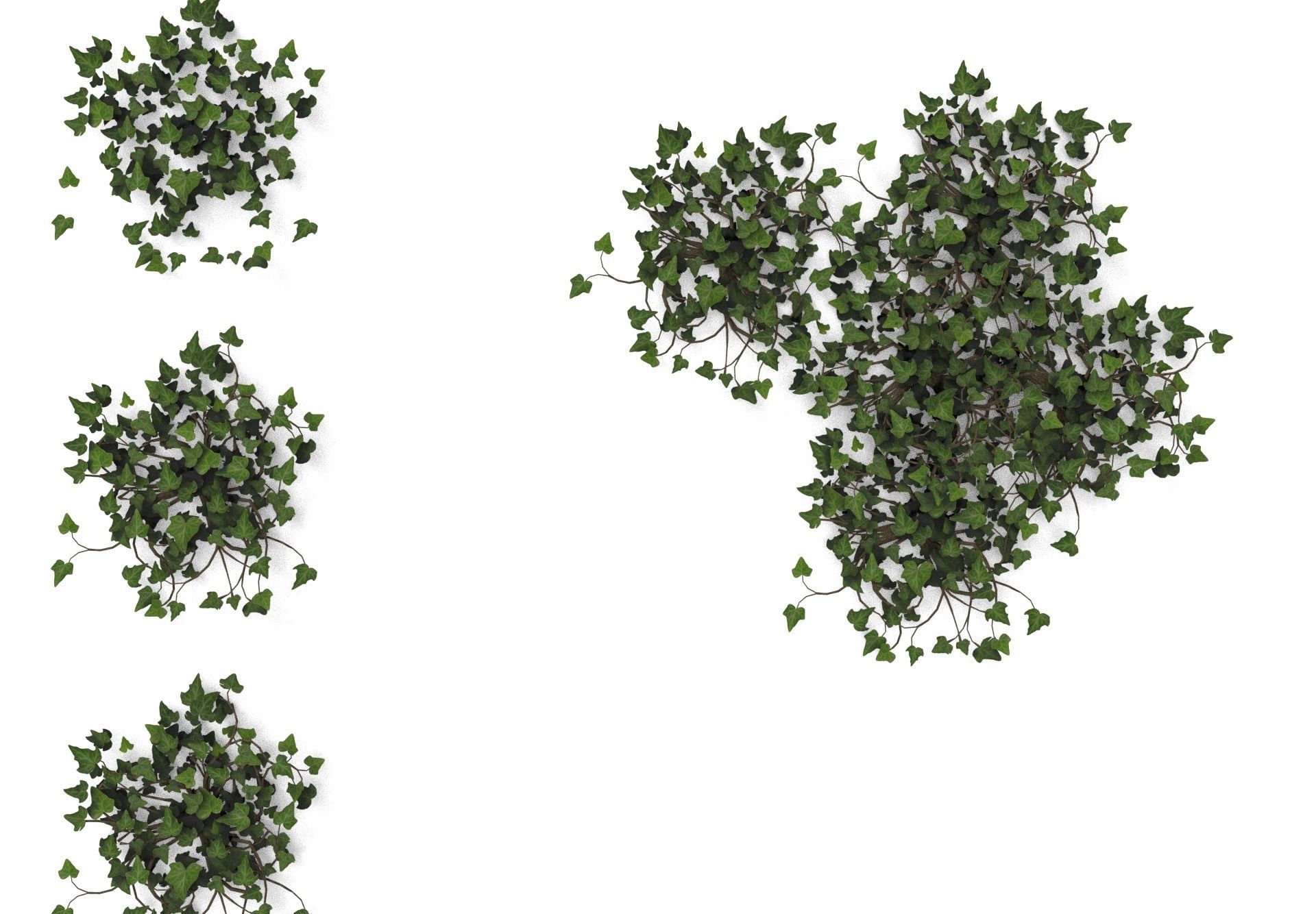 Low Poly Game Ready IVY Low-poly 3D model_4