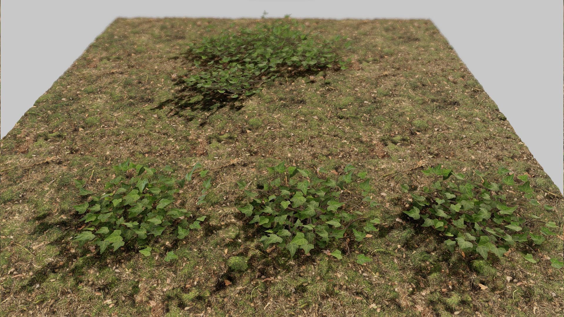 Low Poly Game Ready IVY Low-poly 3D model_5