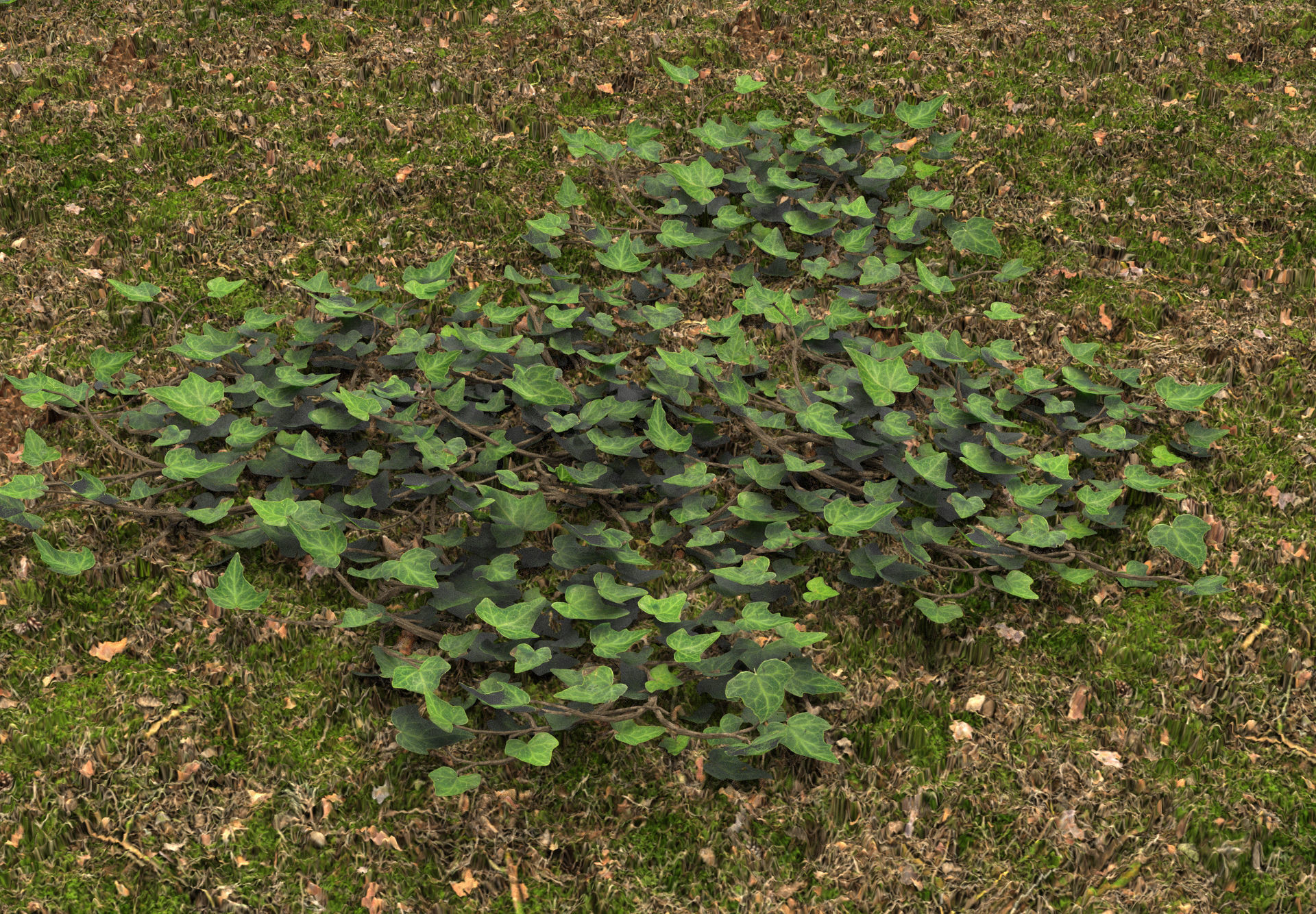 Low Poly Game Ready IVY Low-poly 3D model_1