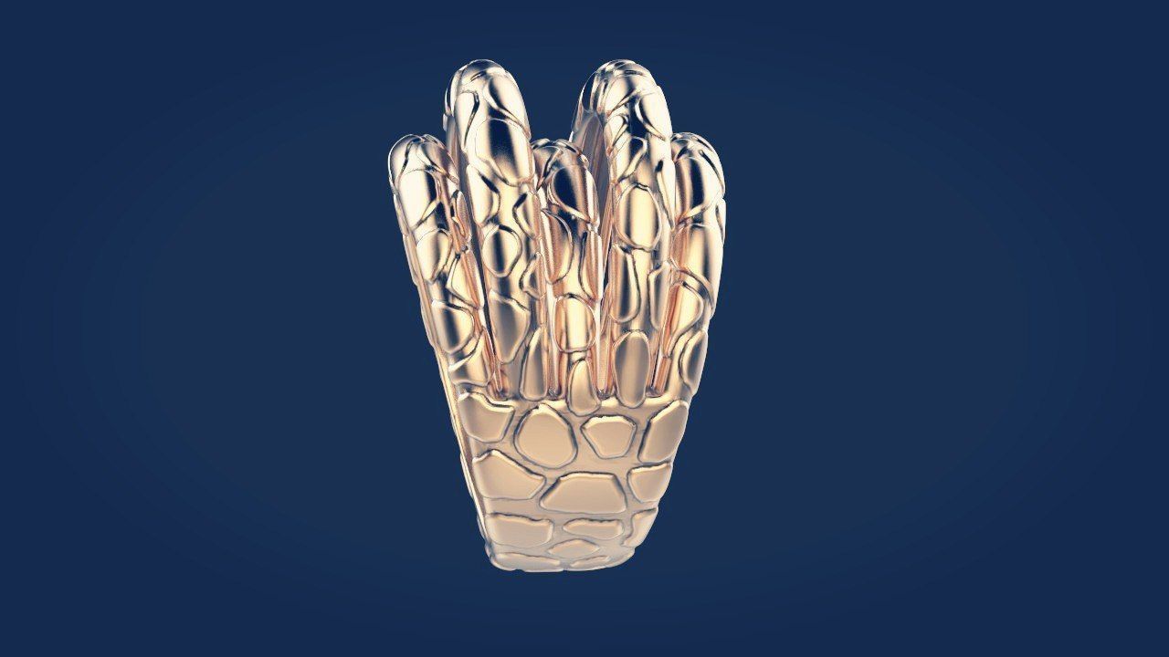 Ring 62 3D print model_1