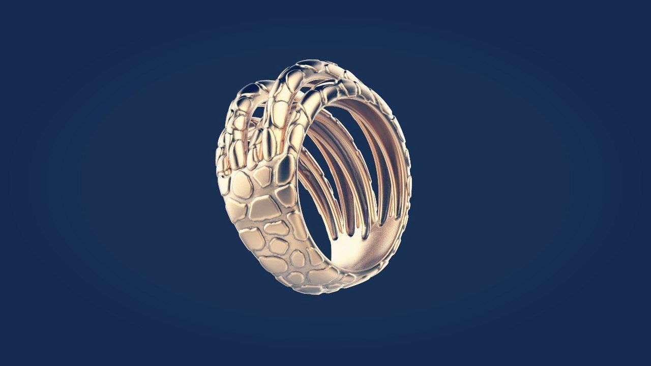 Ring 62 3D print model_3