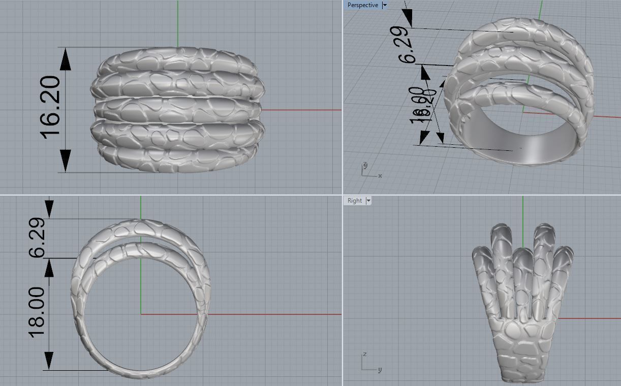 Ring 62 3D print model_4