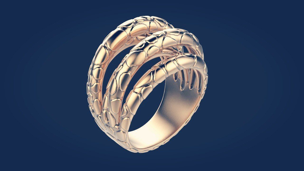 Ring 62 3D print model_0