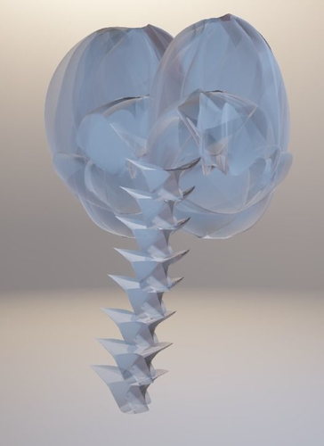 Brain skull with bone in it