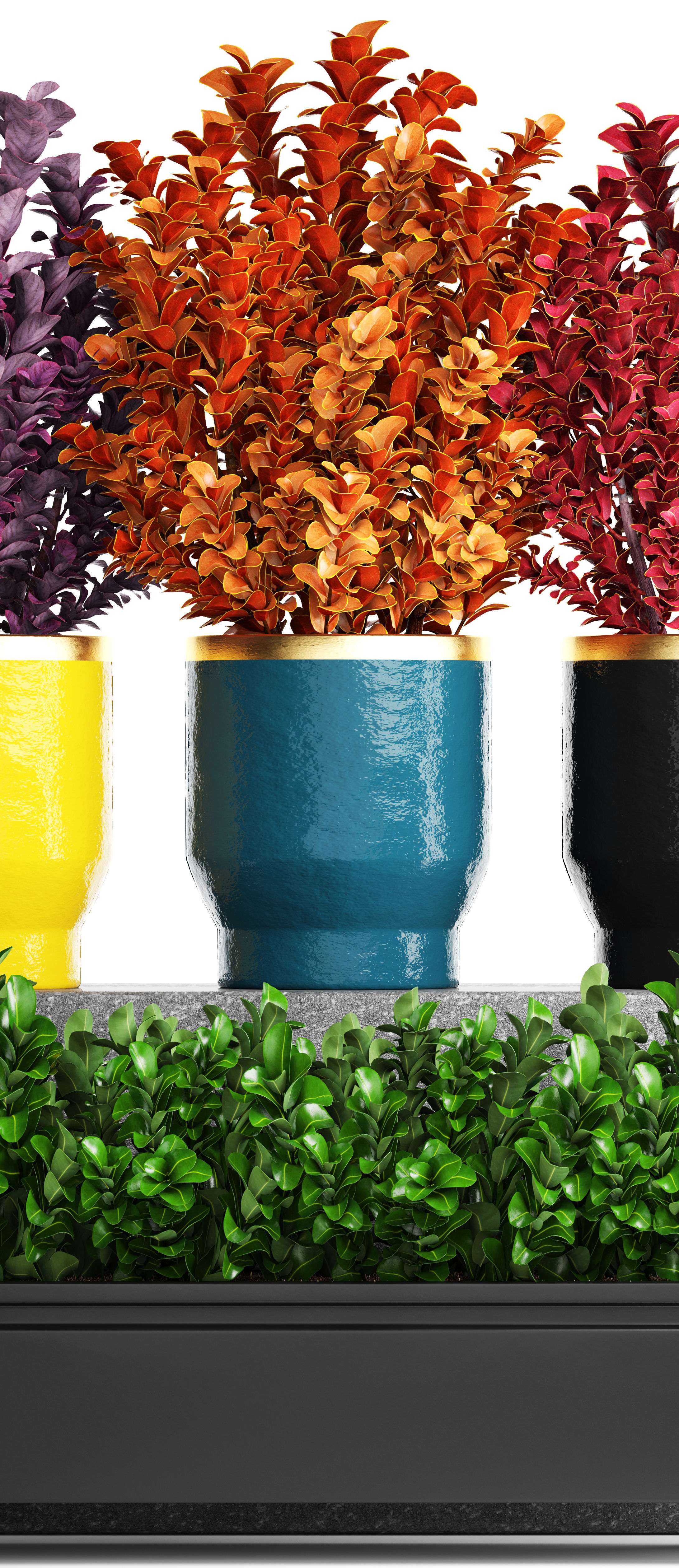 Plant in pot berberis 3D model_8