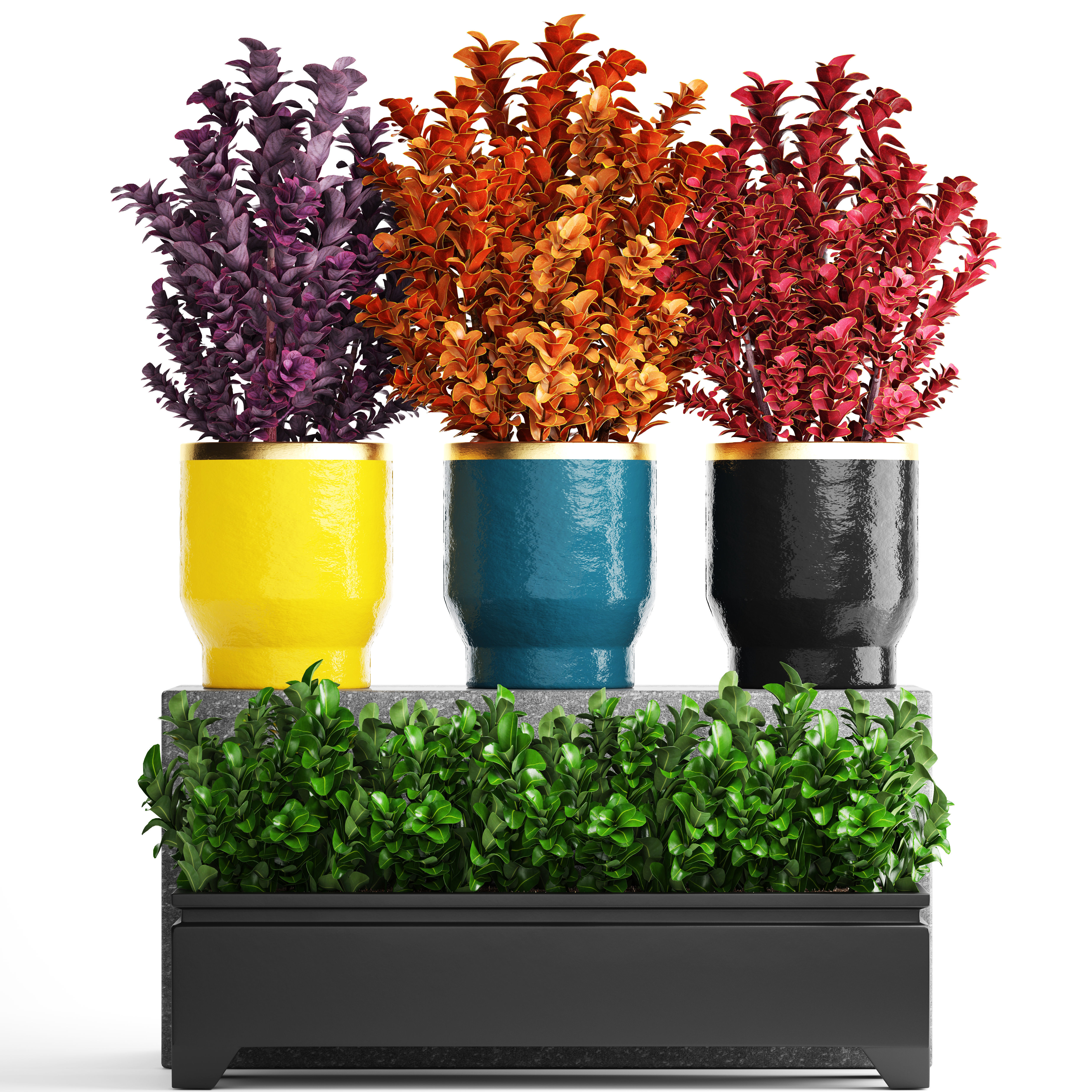 Plant in pot berberis 3D model_13