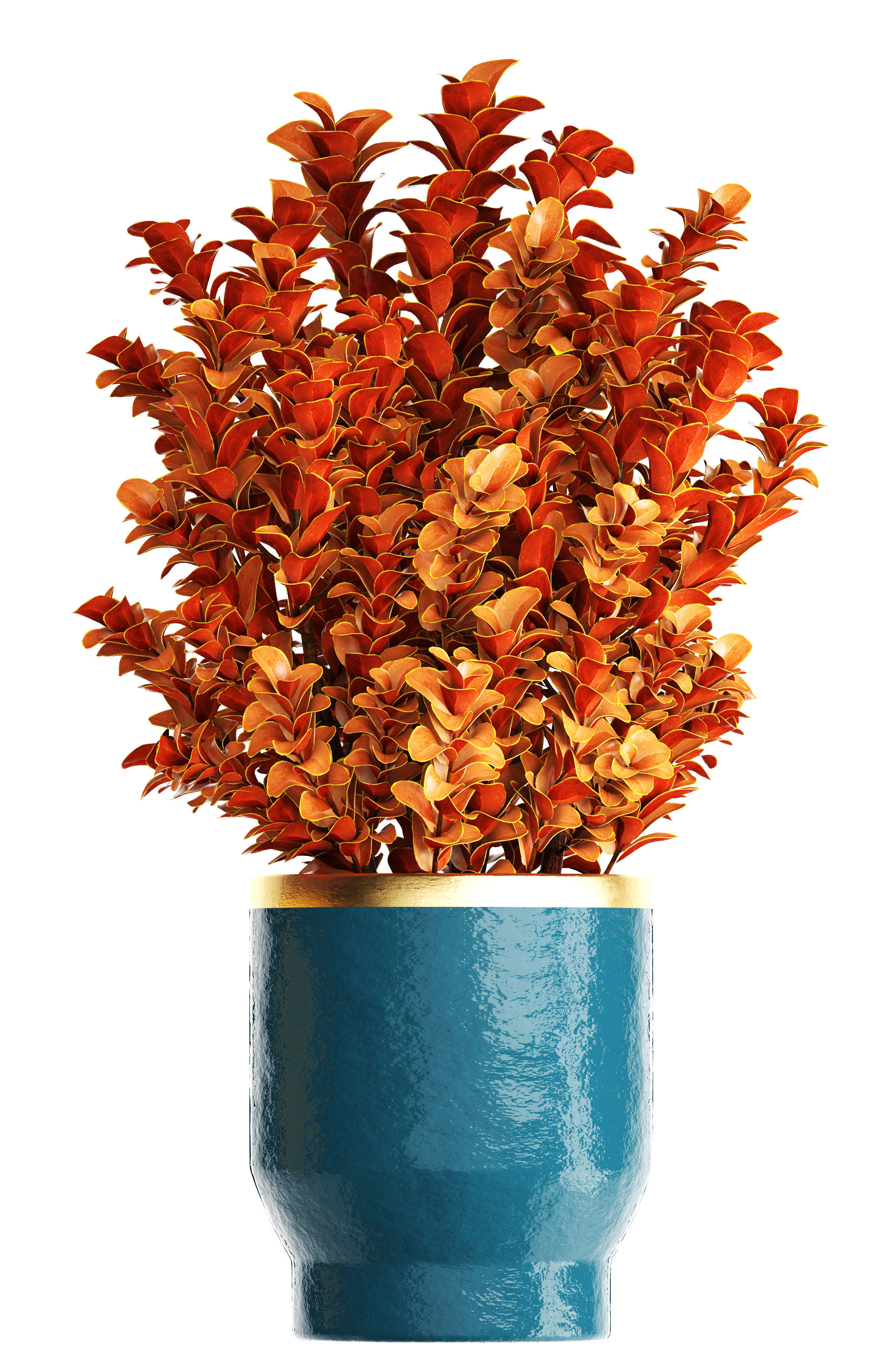 Plant in pot berberis 3D model_2