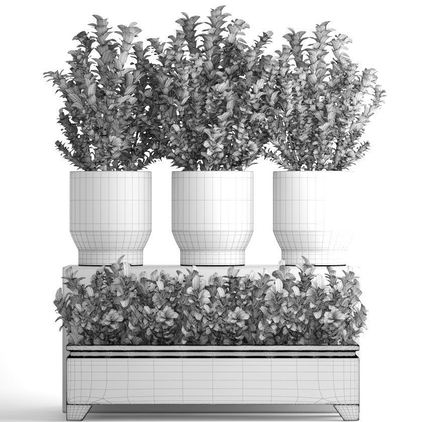 Plant in pot berberis 3D model_5