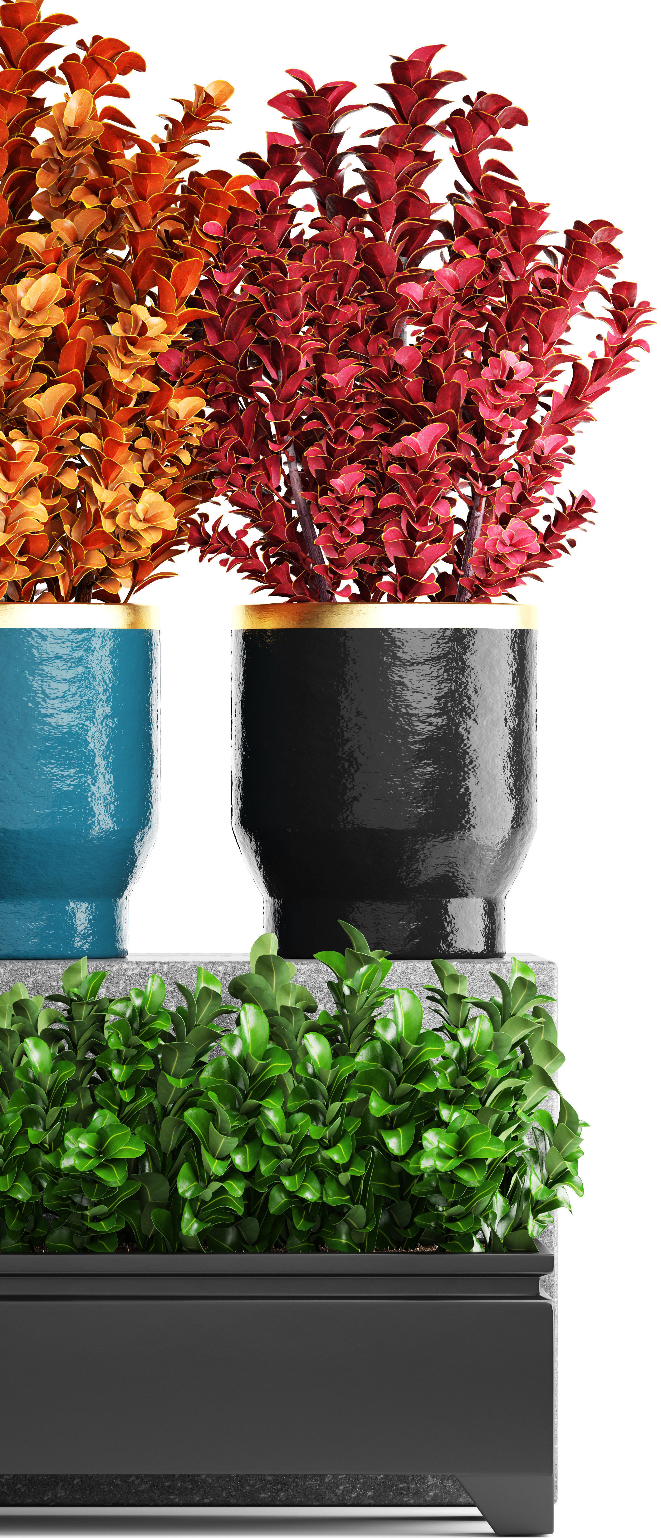 Plant in pot berberis 3D model_12