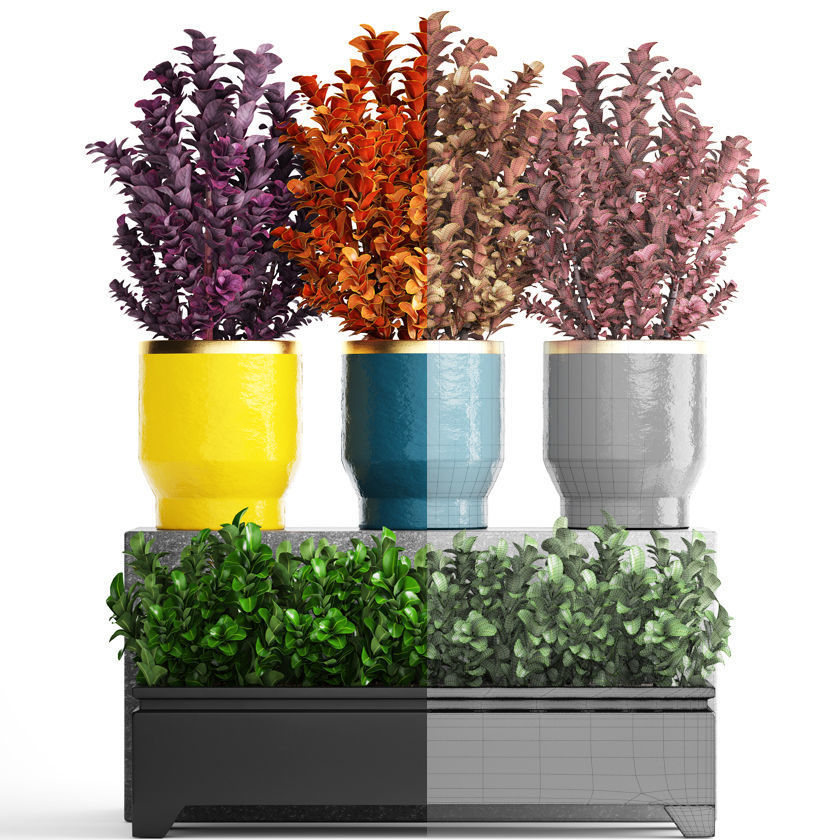 Plant in pot berberis 3D model_7