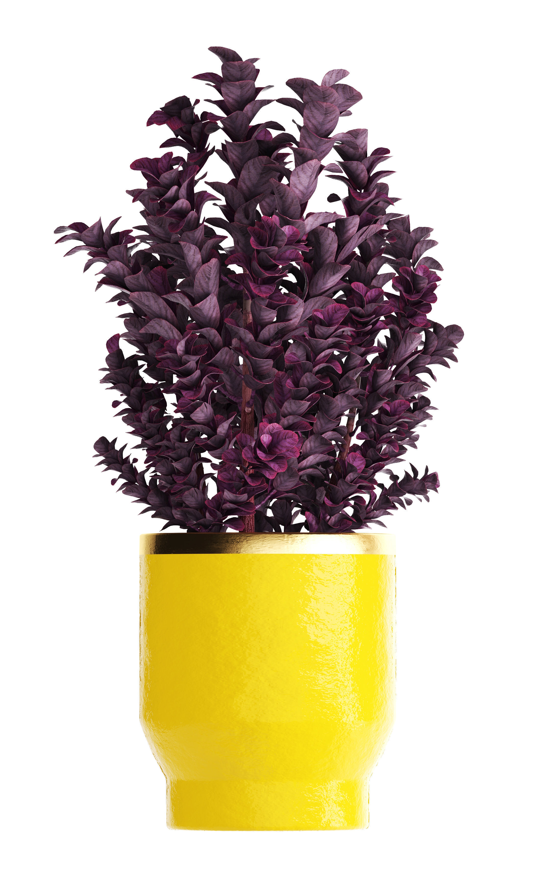 Plant in pot berberis 3D model_9