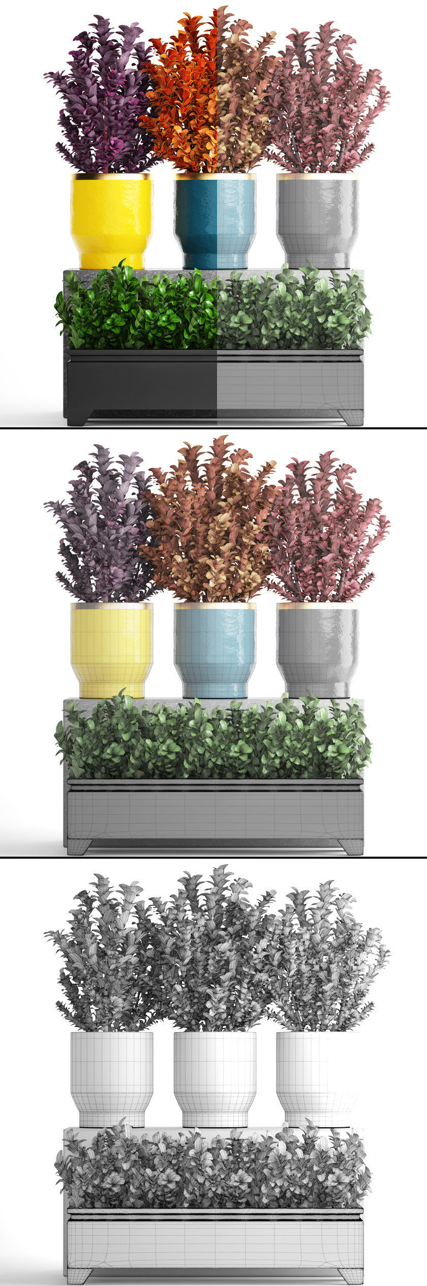 Plant in pot berberis 3D model_11