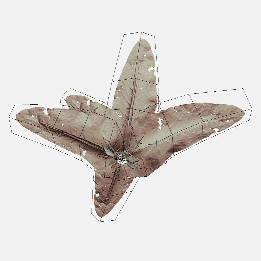 Doc Leaf Plant Low-poly 3D model_4