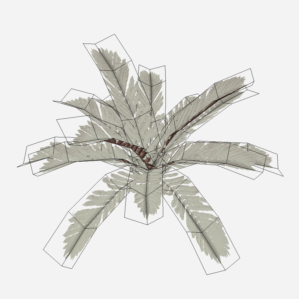 Fern Plant Low-poly 3D model_4
