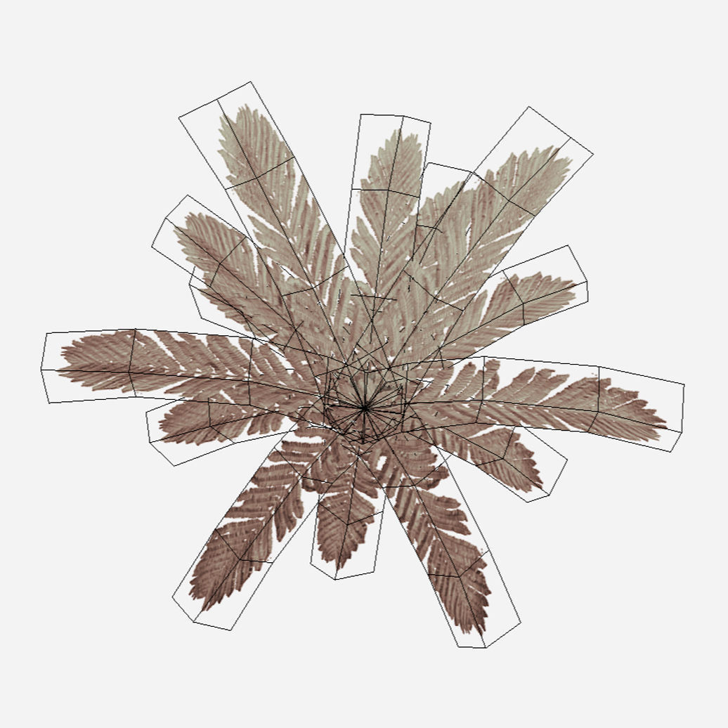 Fern Plant Low-poly 3D model_3