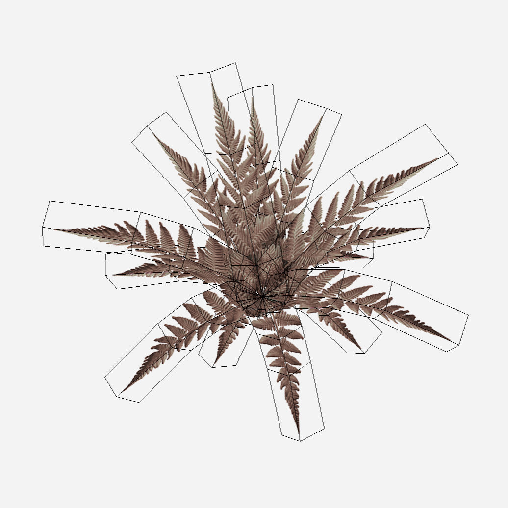 Common Fern Plant Low-poly 3D model_3