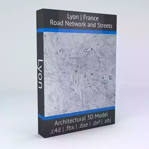 Lyon Road Network and Streets