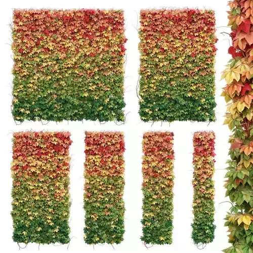Wall from autumn leaves Set of 6 models