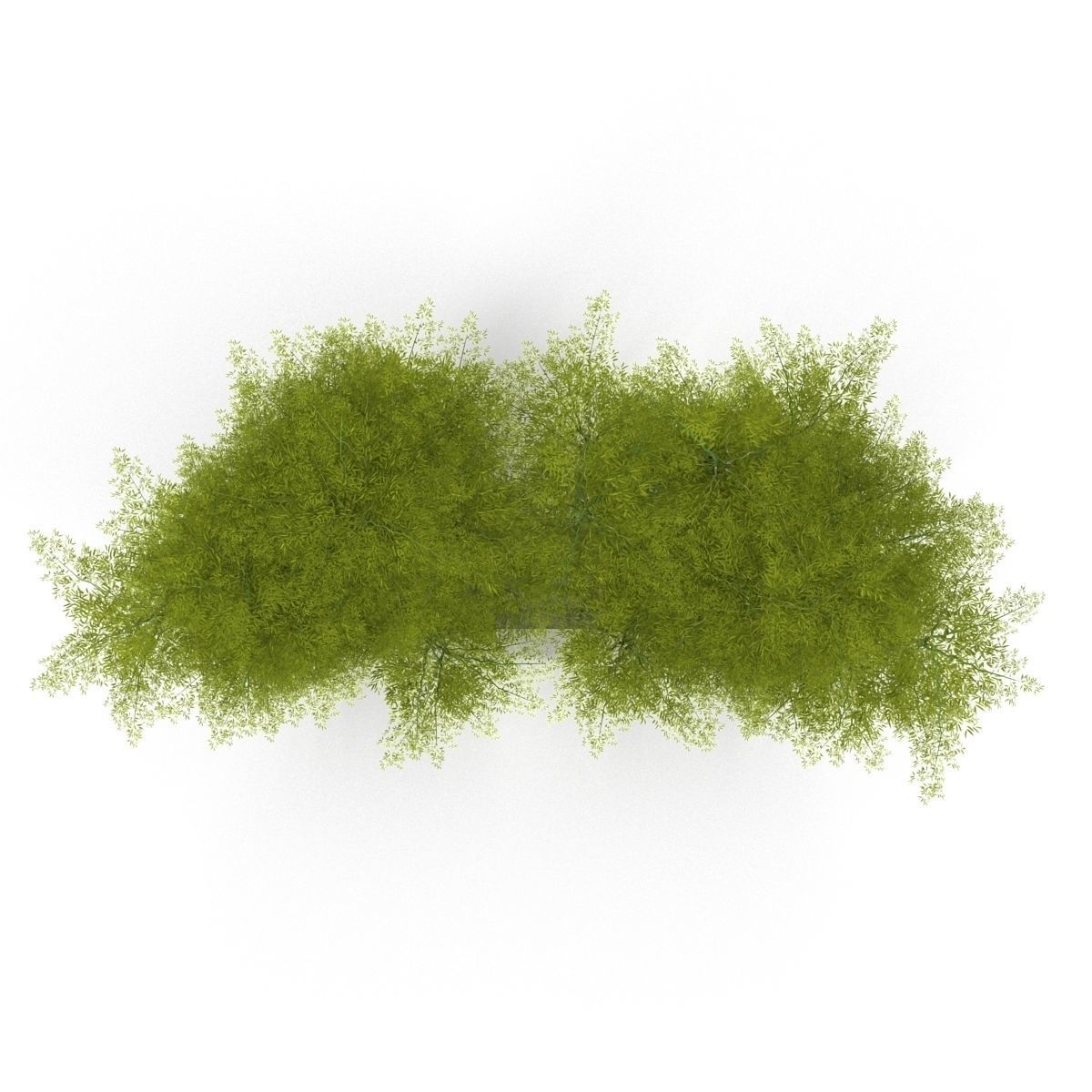 Bamboo corridor set 3D model_37