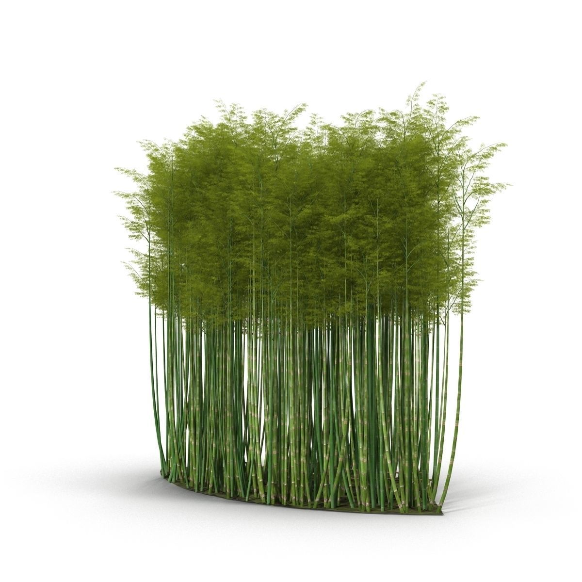 Bamboo corridor set 3D model_58