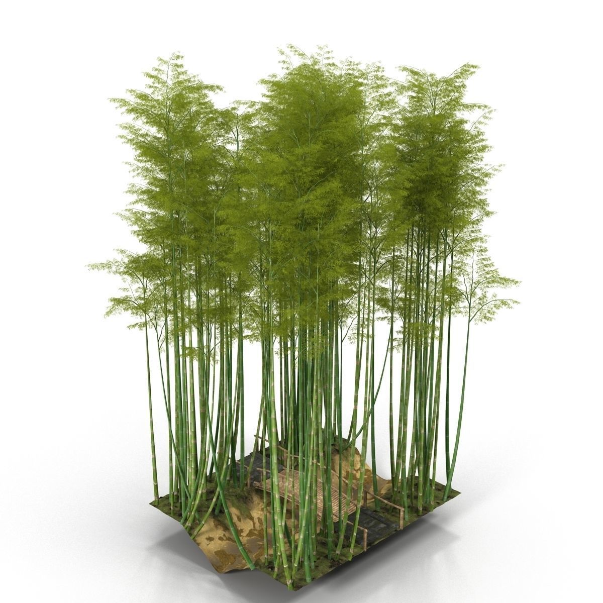Bamboo corridor set 3D model_25