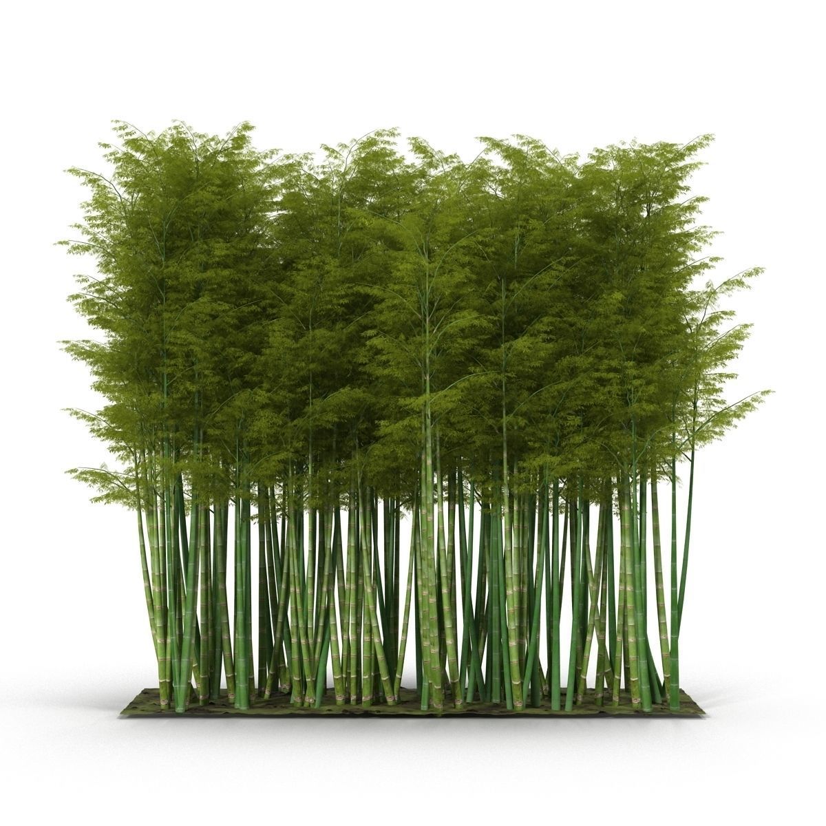 Bamboo corridor set 3D model_18