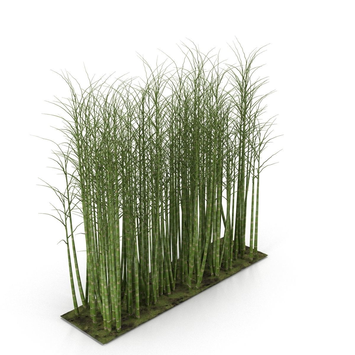 Bamboo corridor set 3D model_20