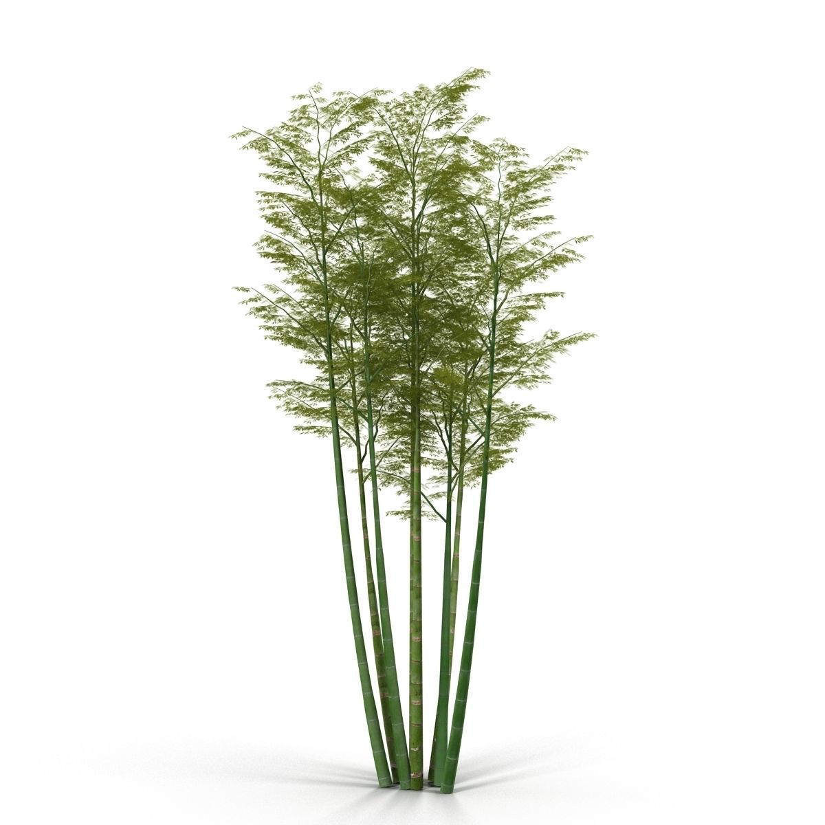 Bamboo corridor set 3D model_6