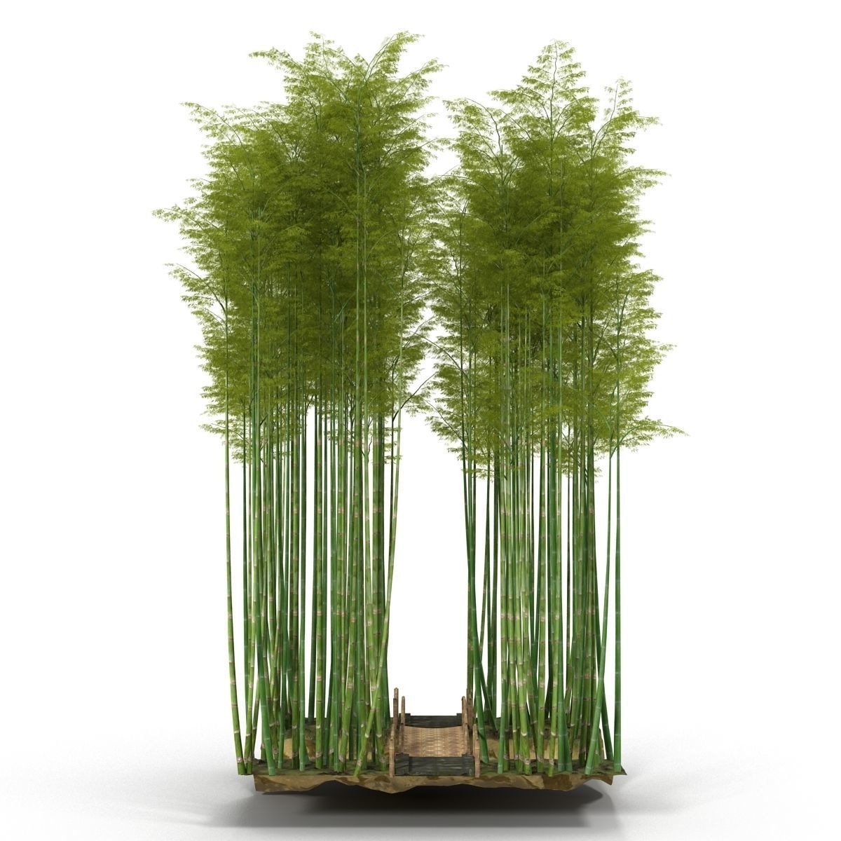 Bamboo corridor set 3D model_22