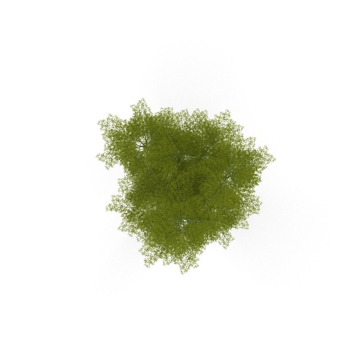 Bamboo corridor set 3D model_1