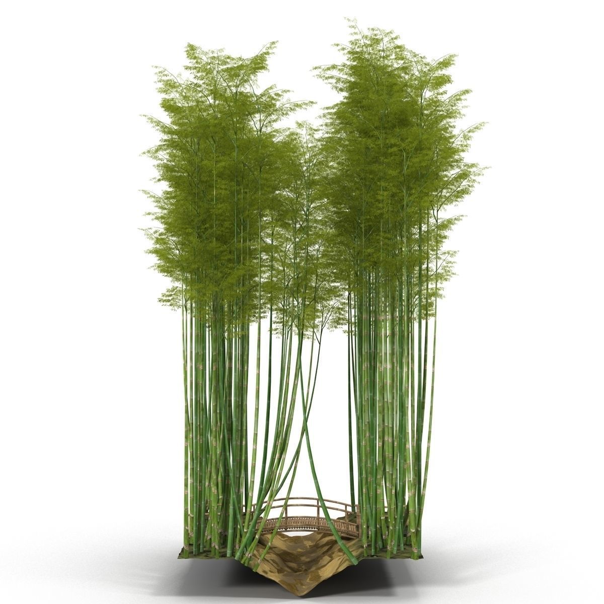 Bamboo corridor set 3D model_23