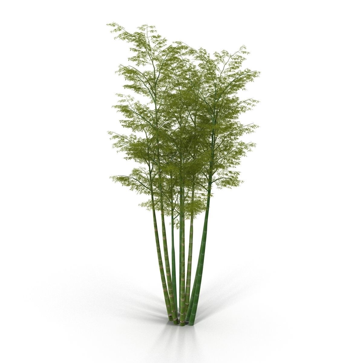 Bamboo corridor set 3D model_2